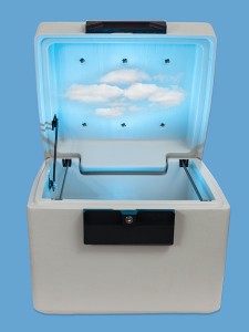 Concept for cloud computing