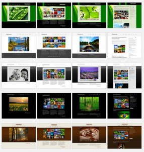 Photocrati theme for photography website