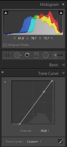 Revised histogram with Tone Curve adjustment
