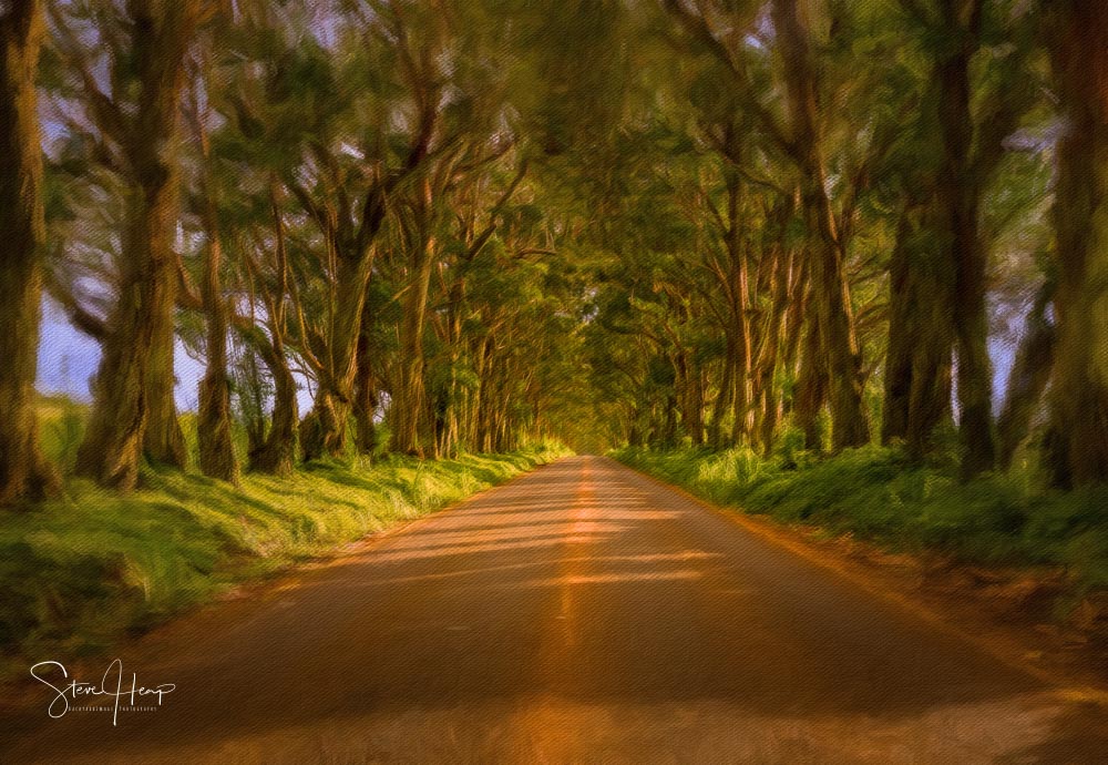 Digital oil painting of the famous tree tunnel on the road to Koloa and Poipu on Kauai