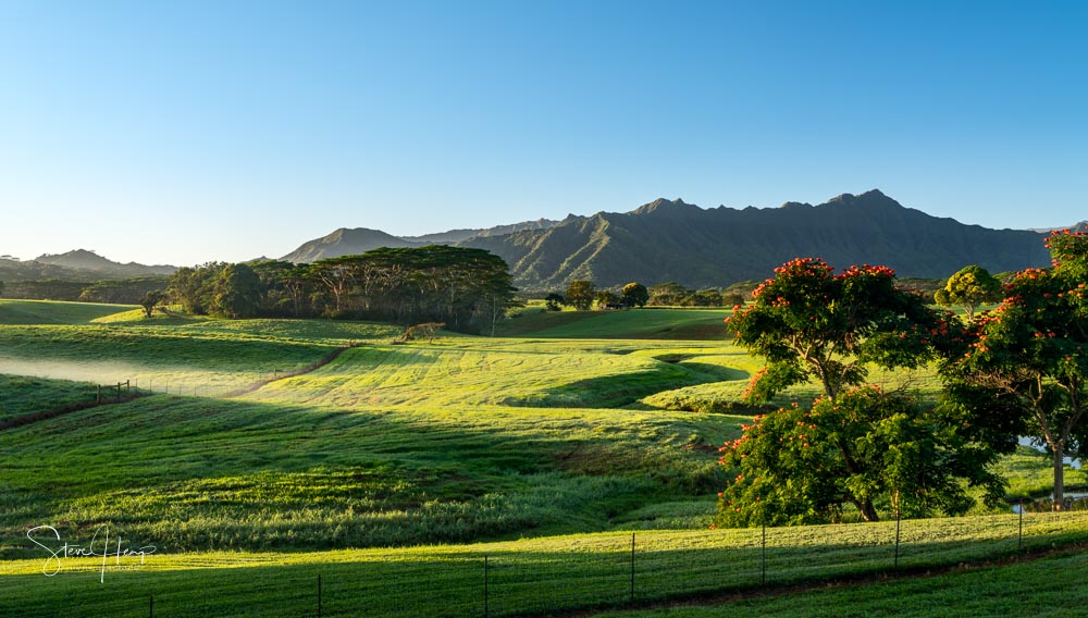 Jurassic park landscape on the island of Kauai